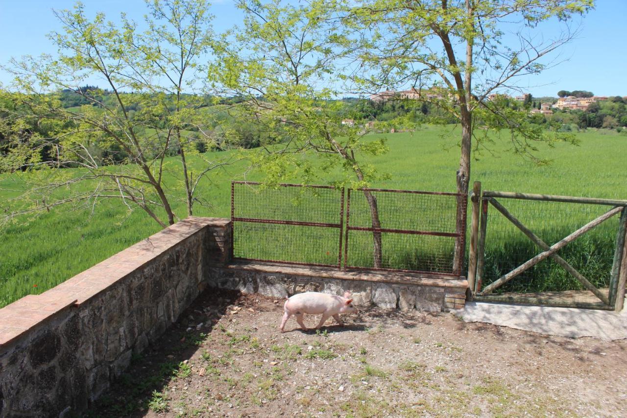 Ferienwohnung Casa Vacanza Podere Ristoro San Giovanni dʼAsso Exterior foto